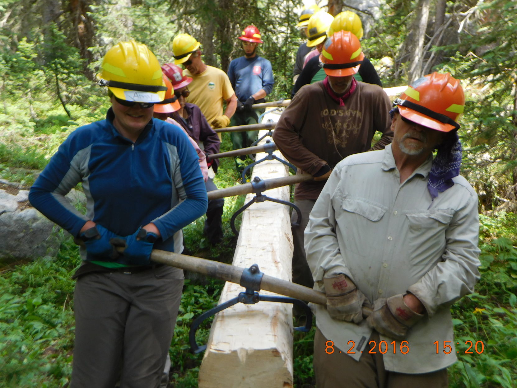 log carrier